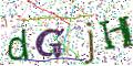 图形验证