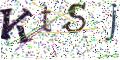 图形验证