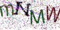 图形验证