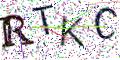 图形验证