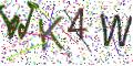 图形验证