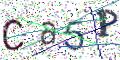图形验证