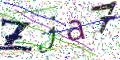 图形验证