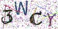 图形验证