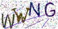 图形验证