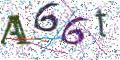 图形验证