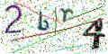 图形验证