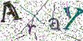 图形验证