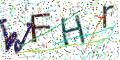 图形验证