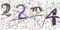 图形验证