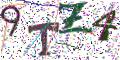 图形验证