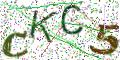图形验证