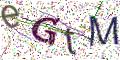 图形验证