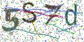 图形验证