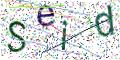图形验证