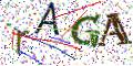图形验证