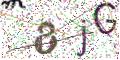 图形验证
