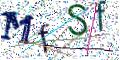 图形验证