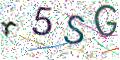 图形验证