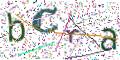 图形验证