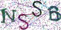 图形验证