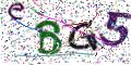 图形验证