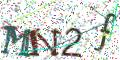 图形验证