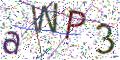 图形验证