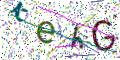 图形验证