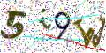 图形验证