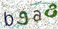 图形验证