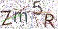 图形验证