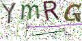 图形验证