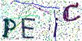 图形验证