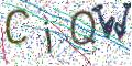 图形验证