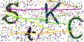图形验证