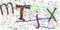 图形验证