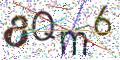 图形验证