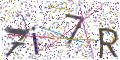 图形验证