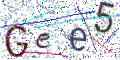 图形验证