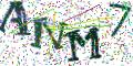 图形验证