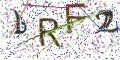 图形验证