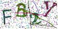 图形验证
