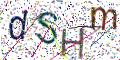 图形验证