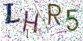 图形验证