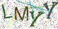 图形验证