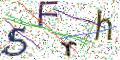 图形验证