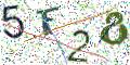 图形验证
