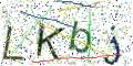 图形验证