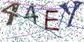图形验证